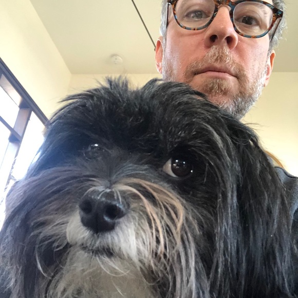 Meet your Posher, Kevin - Picture 1 of 1